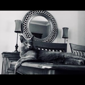 Meet your Posher, Jasmine